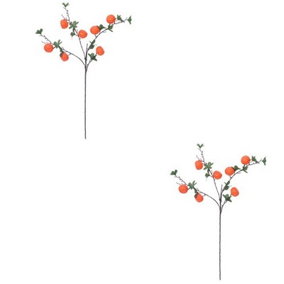 2PCS LIFELISCHE FRAUT ASTGESCHAFT FACHSE orange