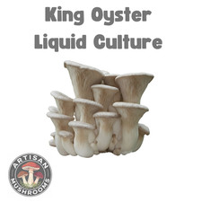 King Oyster Mushroom Liquid Culture - Ready to Grow Spores!