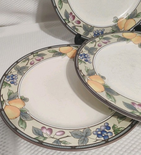 Mikasa Garden Harvest Intaglio 4 Dinner Plates 11.25” CAC29 Utensil Scratches - Picture 3 of 15