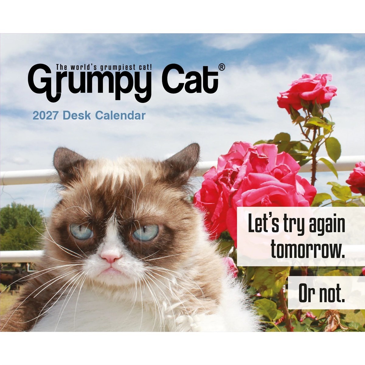 Grumpy Cat Desk Calendar 2027, Desk Calendars, Day To View, Humour, Gift