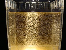 Live Baby Brine Shrimp Combo Gallon Grow out Kit Fish Food Coral Seahorse