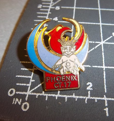 ROYAL ORDER OF JESTERS lapel pin, Phoenix Arizona, ROJ court 17, colorful 1989 - Picture 2 of 4