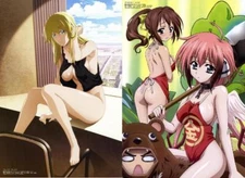 Broken Blade Heaven's Lost Property Official Promo Japan Poster  +Tracking No.