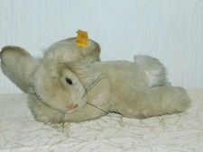 Steiff liegender Hase , mit Knopf und Fahne ! H:11cm
