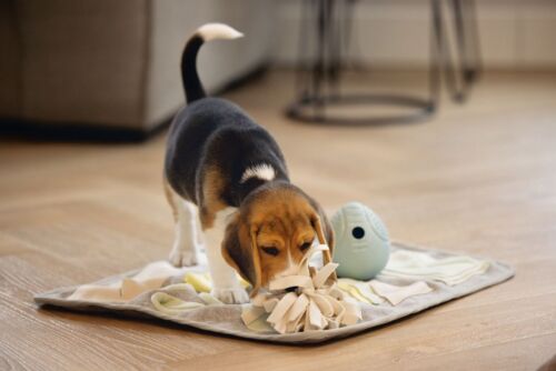 Beeztees Puppy Schnüffelmatte Doeka Schnüffelteppich Hund - Bild 5 von 5