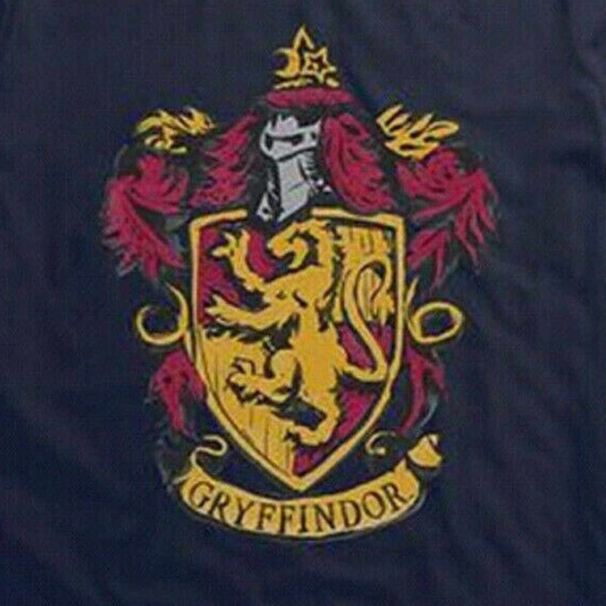 Harry Potter Gryffindor Lion Shield Big Boy's Navy Blue T-Shirt