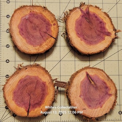 Aromatic Red Cedar (4) 3½'' - 4½'' Diameter ¾'' Thick Live Edge Wood Rounds Natural