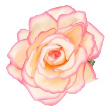 Rose Boho Hair Clips Fabric Flower Brooch Pins for Women Wedding Rose Edge