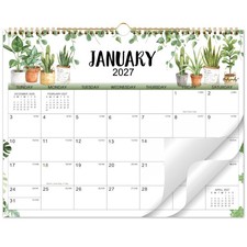 2027 Wall Calendar, Jan. 2027 - Dec. 2027, 12-Month, 15" x 11.5"
