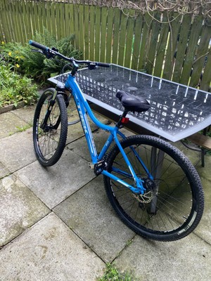 Trek Skye series s 29” Inch Blue Womans 