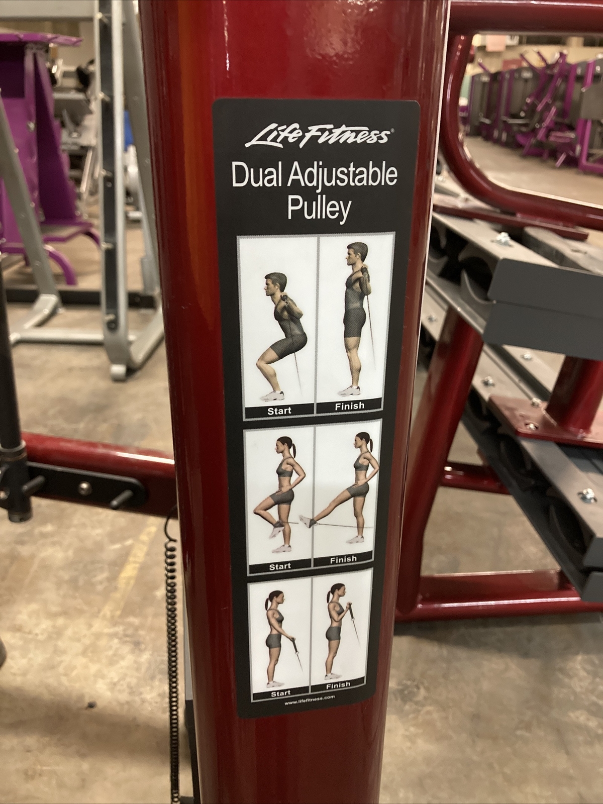 Life FItness Signature Dual Adjustable Pulley Candy Apple Red Custom