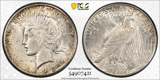 1925 S Peace Dollar PCGS UNC Detail Nice Album Toning (No Reserve Auction)