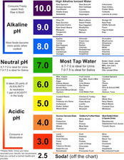 pH Test Strips for Testing Alkaline and Acid Levels in The Body. Track  Moni...
