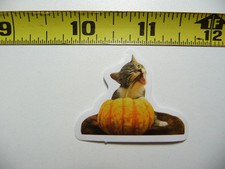 FUNNY CAT KITTEN SMALL STICKER DECAL HALLOWEEN PUMPKIN PET FELINE