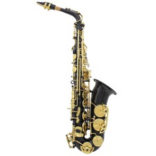 Brass Engraved Eb E-Flat Alto Saxophone Sax w/  Brush Carry Z7O5