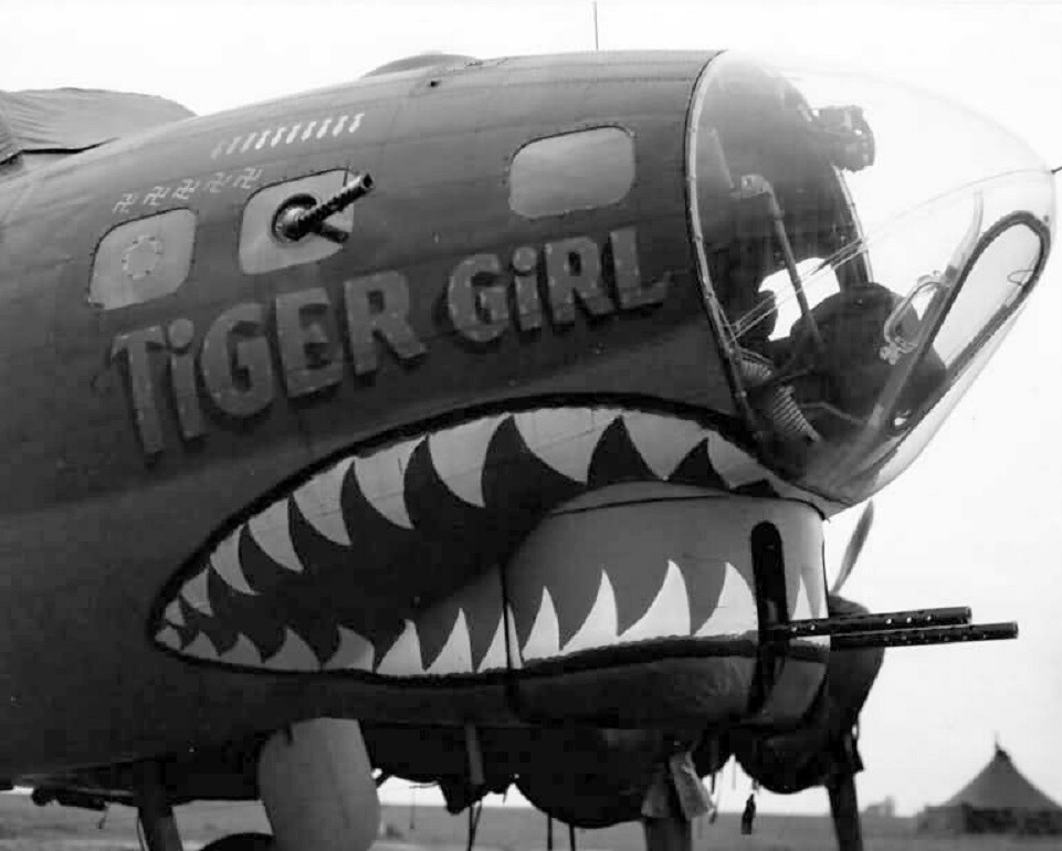 Boeing B-17 Flying Fortress Nose Art “Tiger Girl” Shark WWII 8x10