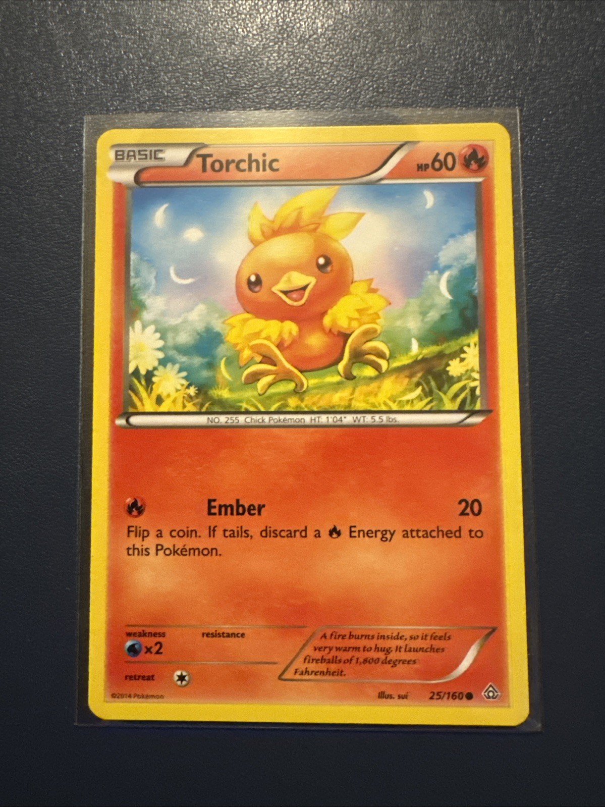 Torchic 25/160 XY - Primal Clash Regular
