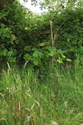 Foto 12x8 Zugriff verweigert, Nightingale Park Torquay ich benutzte ein handliches e c2017