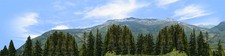 Model Railroad Train Backdrops - Pine Mountain Left