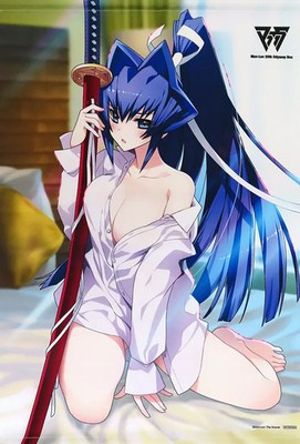 Muv-Luv 20th Odyssey B2 Tapestry Switch Software Softmap  Collectible