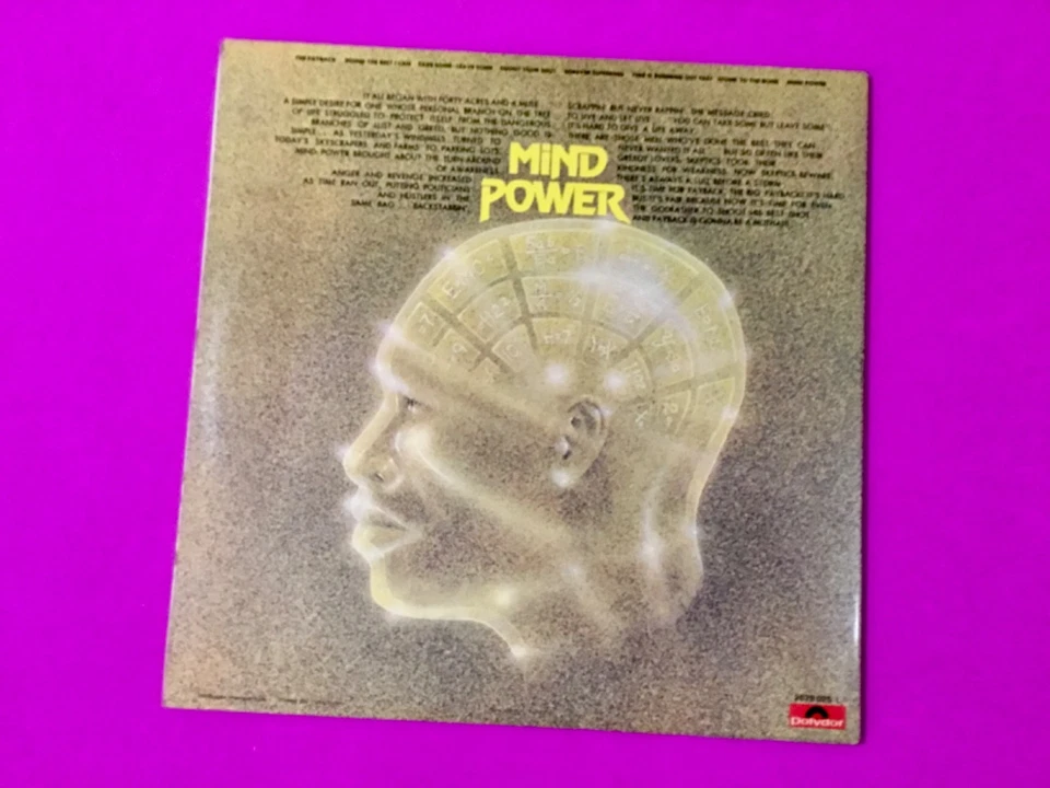 JAMES BROWN - THE PAYBACK - 2 x Vinyl LP Album Gatefold Italy 1974 Near Mint - Imagen 2 de 4