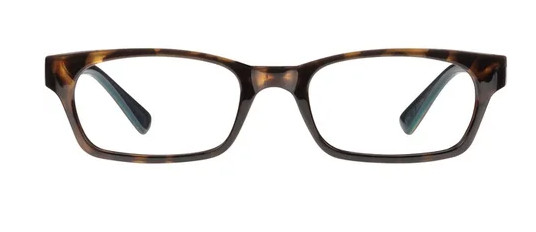 ОЧКИ ДЛЯ ЧТЕНИЯ COLLEEN В черепаховом панцире 1 ПАРА 100 3990₽