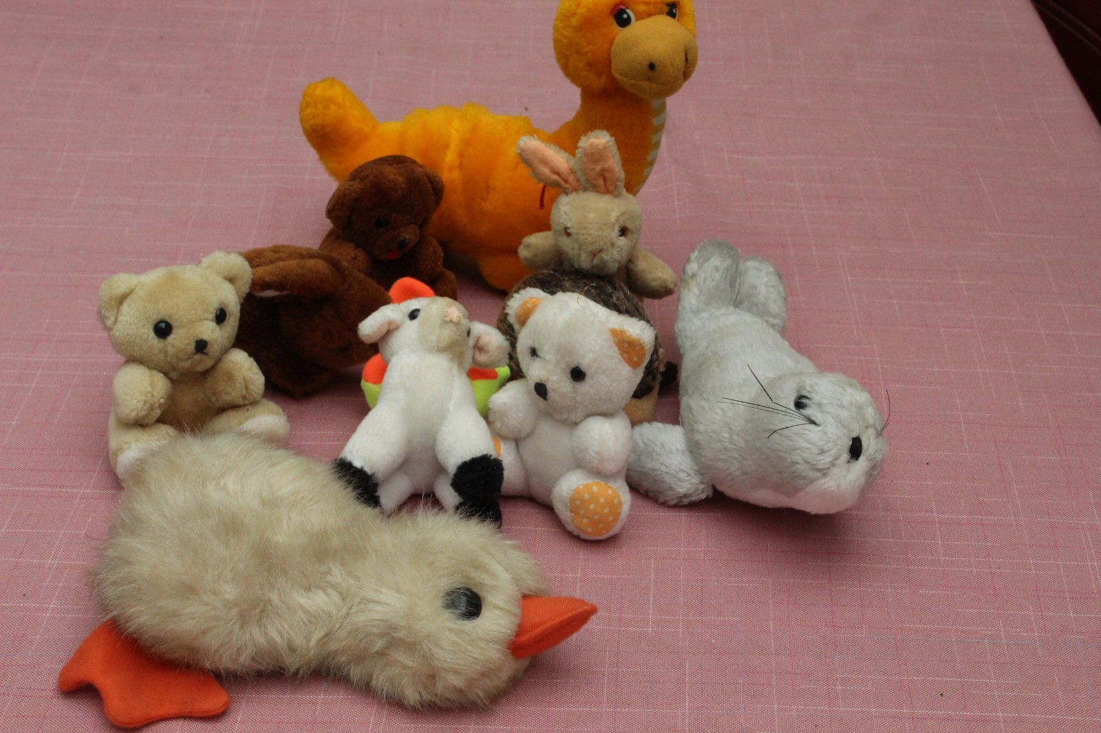 Bild 1 von 5
