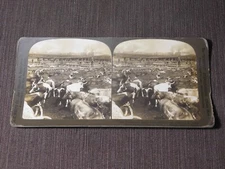 VINTAGE STEREOVIEW STEREOSCOPE CARD 1906 UNION STOCK YARDS CHICAGO USA