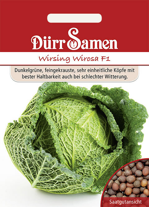 Bild 79 von 115