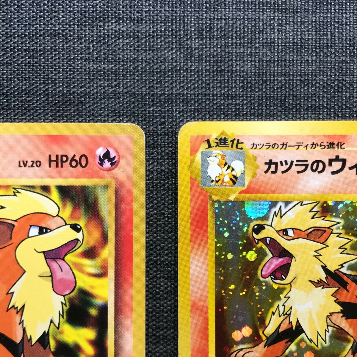 【Arcanine】ウエストフレテレンBLOND Arcanine】ウエストフレテレンBLOND Blaine's Arcanine Pokemon