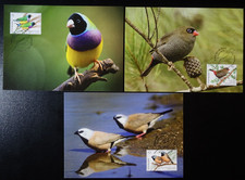 AUSTRALIE - OISEAUX - PASSEREAUX N°4622/4624 sur CARTE MAXIMUM FDC PREMIER JOUR