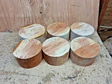 Red Alder Wood Turning Bowl Blanks 6 pc