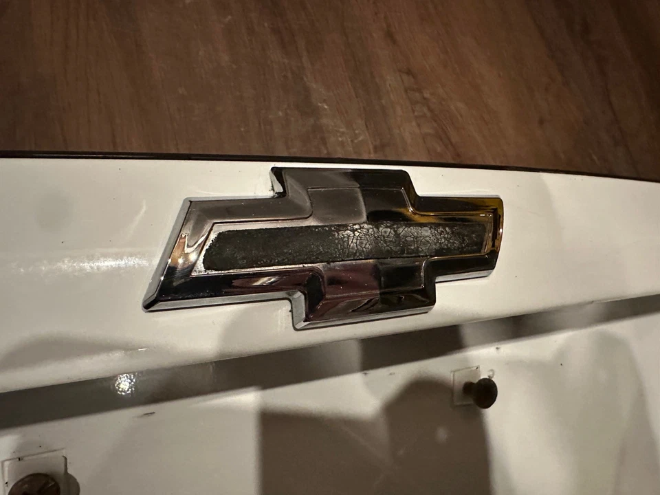 Chevy Trailblazer GMC Envoy 2002-2009 escotilla trasera placa panel blanco Foto 3 de 4