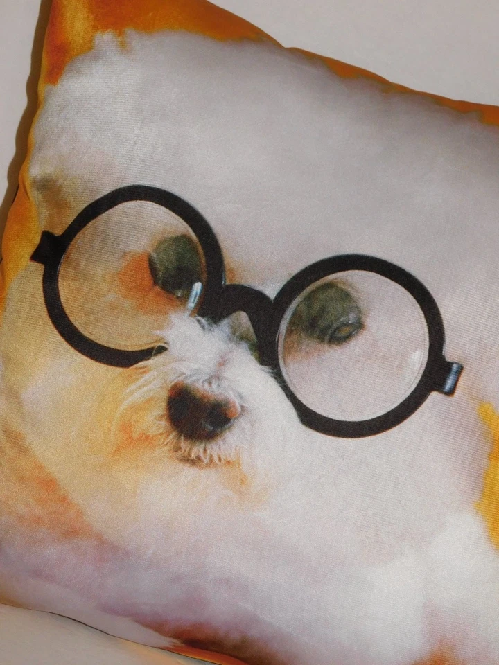 Bichon Frise Dog Pillow Real Photo 16 X 16 Inch - Image 2 of 3