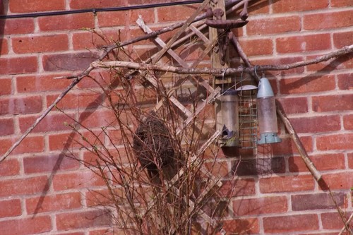 SONY E MOUNT ADAPTED Minolta 100-300MM Telephoto LENS + A7 NEX,A6000 - Picture 8 of 23