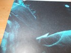 Foto 4 di 5