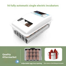 24 Eggs Auto-Turning Digital Incubator Automatic Hatch Chicken Duck Egg Turner