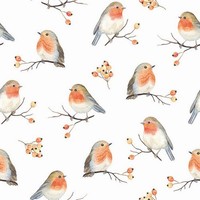 20 Servietten Robin Family Viele Rotkehlchen VöGel Tiere Beeren Zweige 33X33Cm