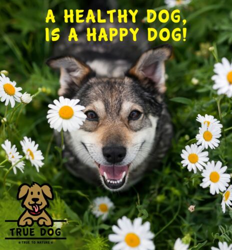 True Dog Air-Dried Chicken Feet 1kg | Hypoallergenic Natural Chew Treat for Dogs - Picture 6 of 6
