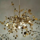 Bild 11 von 14