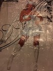 Picture 1 of 4