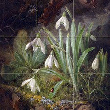 Forest floor piece with snowdrops Tile Mural Kitchen Bathroom Backsplash 18x18