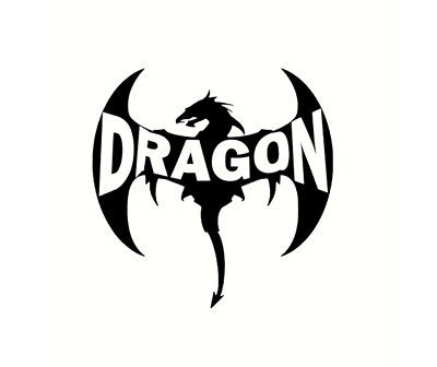 Dragon Aufkleber hochwertiger Vinyl Legendäres Design für Autos LKWS Caravan