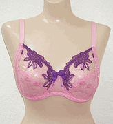 Alegro Full Fingure Underwire Lace Bra 49.00 Retail Larger Sizes 