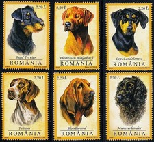 ROMANIA 2005 HUNTING DOGS SET MNH ANIMALS