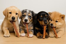 Small Dog Bully Sticks Low Odor Beef Bully Sticks - 12 Pack