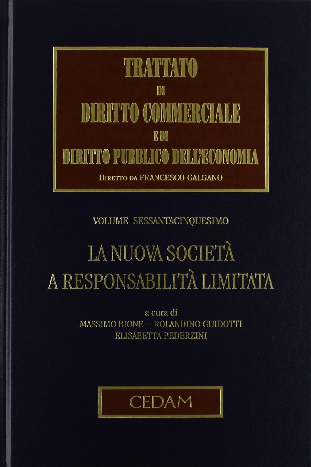9788813328443 Trattato di diritto commerciale e di diritto pubbl...'economia: 65