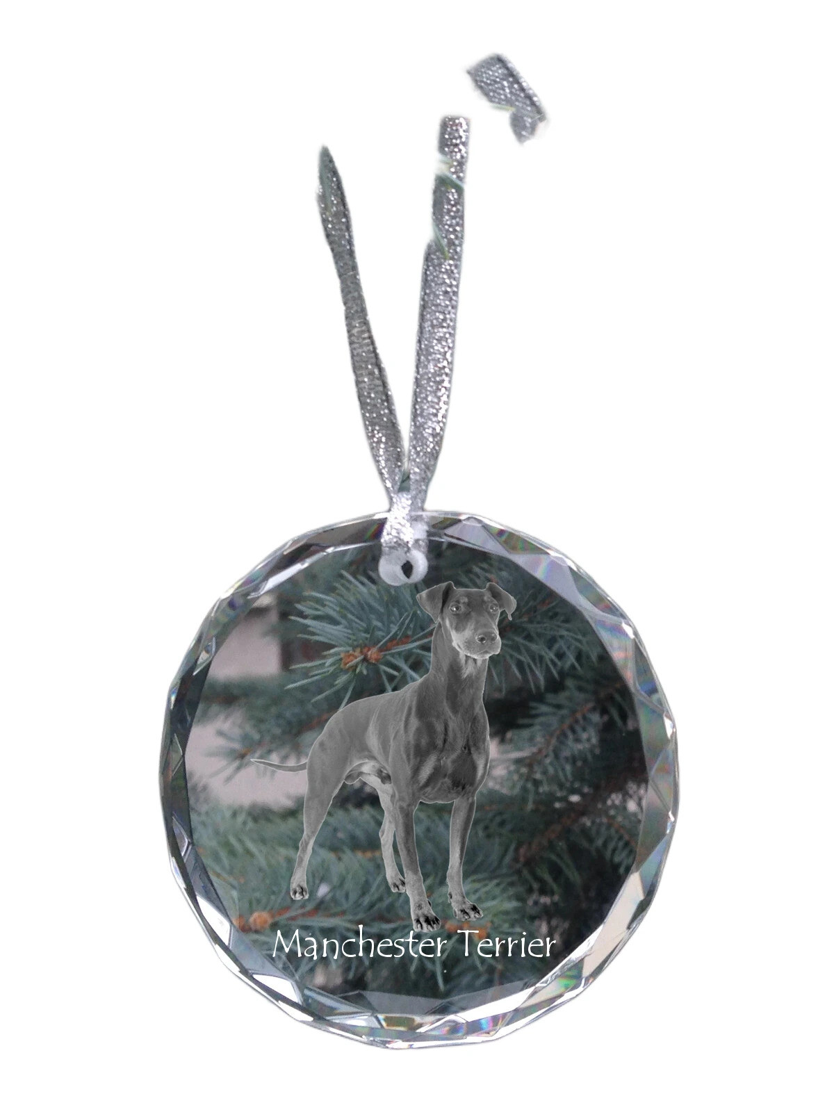 Manchester Terrier - Crystal Ball With Photo, Little IN Crystal, Personalised