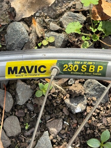 Vintage Salsa El Kaboing Mountain Bike Frame Rockshox Risse Chumba - 第 9/18 張圖片