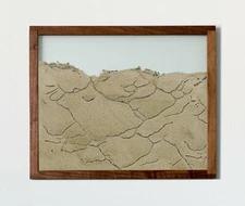 Walnut Ant Farm  (Landscape)